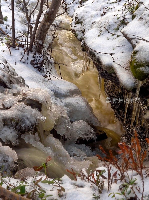 冰封的溪流在雪林- 3